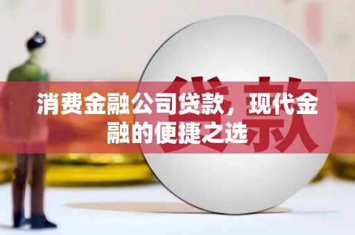 紫云消费金融公司贷款，现代金融的便捷之选