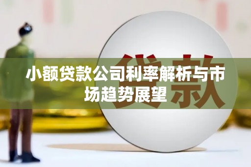紫云小额贷款公司利率解析与市场趋势展望