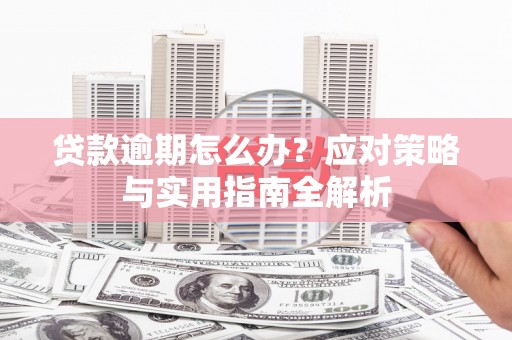 紫云贷款逾期怎么办？应对策略与实用指南全解析
