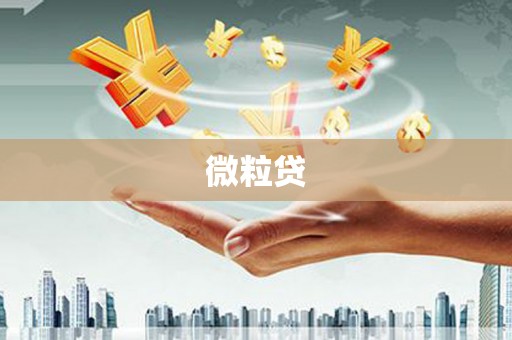 紫云微粒贷