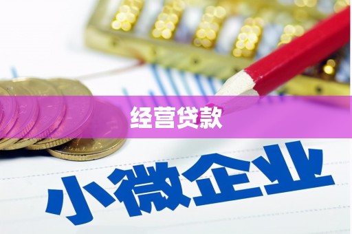 紫云经营贷款