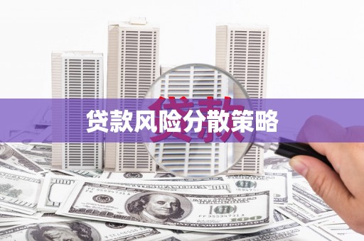紫云贷款风险分散策略