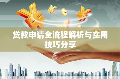 紫云贷款申请全流程解析与实用技巧分享
