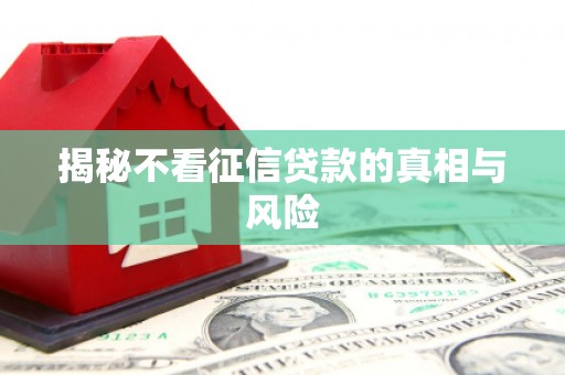 紫云揭秘不看征信贷款的真相与风险