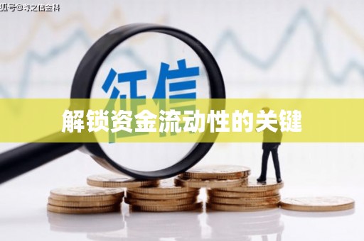 紫云解锁资金流动性的关键