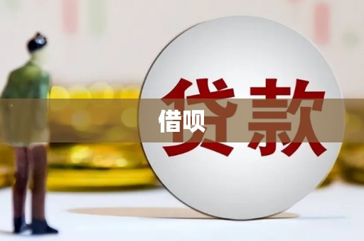 紫云借呗