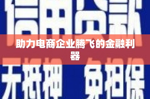 紫云助力电商企业腾飞的金融利器