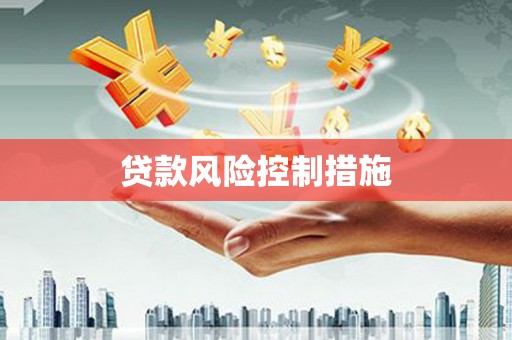 紫云贷款风险控制措施