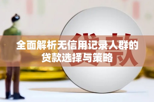 紫云全面解析无信用记录人群的贷款选择与策略