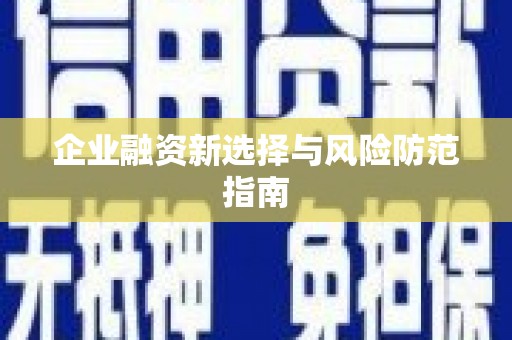 紫云企业融资新选择与风险防范指南
