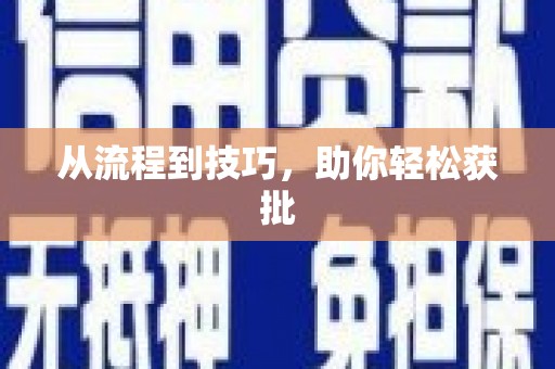 紫云从流程到技巧，助你轻松获批