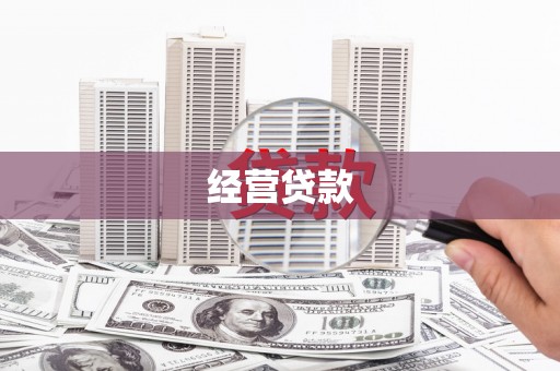 紫云经营贷款