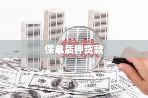 紫云保单质押贷款