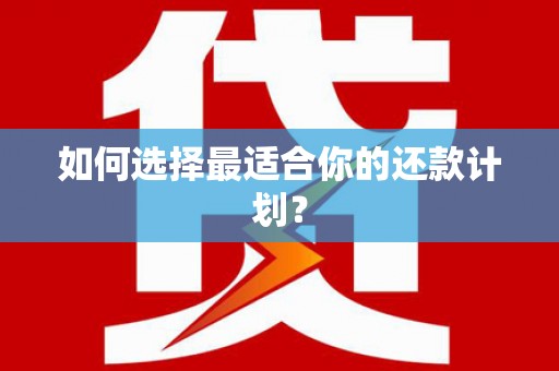 紫云如何选择最适合你的还款计划？